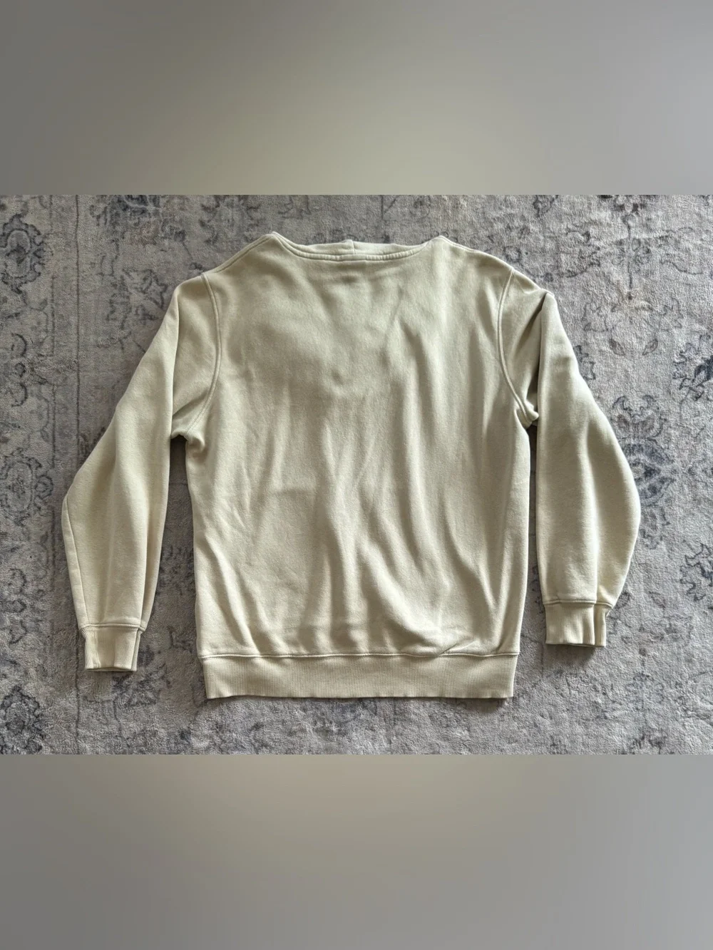 The North Face Men's Crewneck Hoodie in Beige